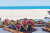 Pueblo Bonito Rose