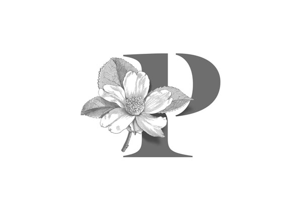 Petra fonda Logo in Toluca, Estado de México