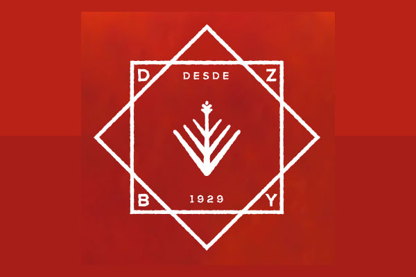 Dzalbay Logo in Merida, Yucatán