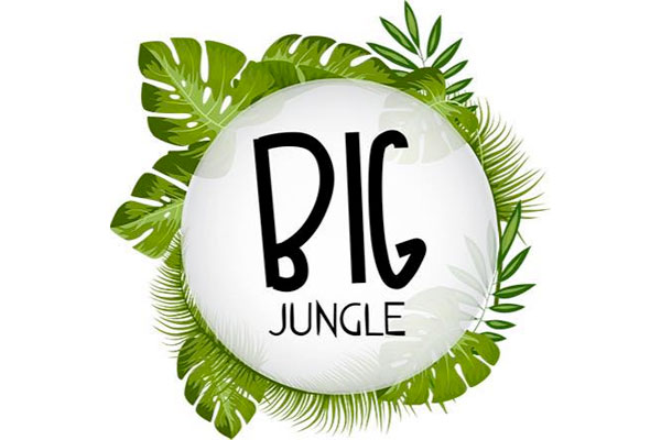 Big Jungle Logo in Metepec, Estado de México