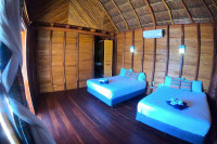 Palmeras