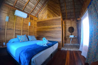 Palmeras