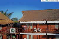 Palmeras
