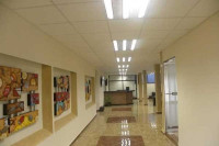 Hotel Jarana Suites