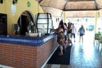 Costa Alegre