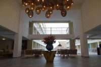 Decameron Ios Cocos