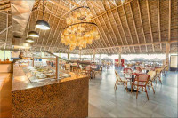 Decameron Ios Cocos