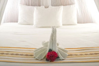 Akumal Natura Glamping