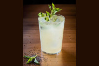 Gin Gin