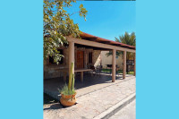 el nogalito