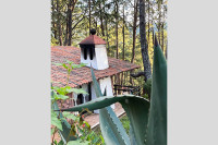 MonteVerde