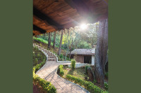 MonteVerde