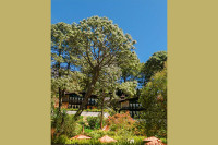 MonteVerde