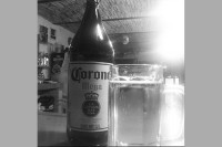 Zona 503