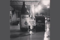 Zona 503