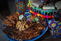 Los Zarandeaditos