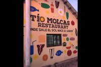 Tio Molcas