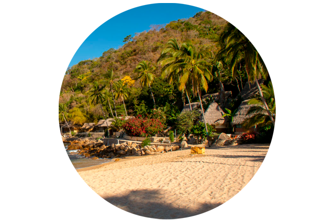 YELAPA Logo in Puerto Vallarta, Jalisco