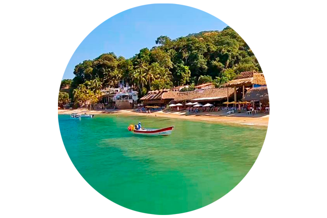 LAS ANIMAS Logo in Puerto Vallarta, Jalisco
