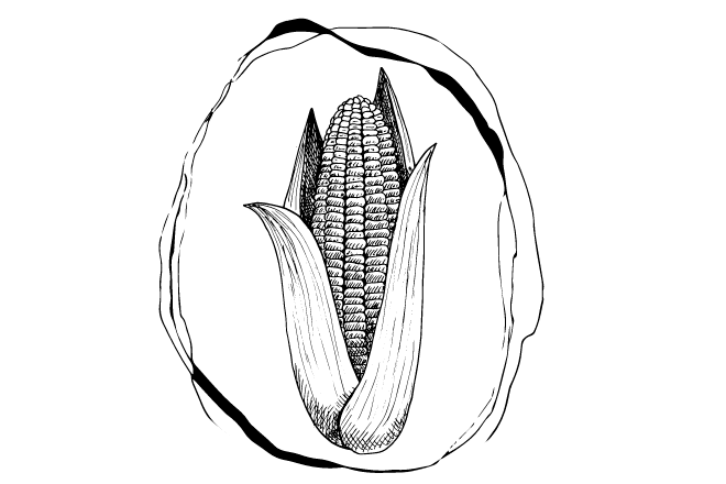 La Milpa Logo in Puerto Vallarta, Jalisco