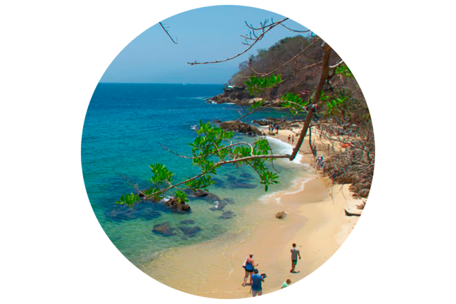 LAS CALETAS Logo in Puerto Vallarta, Jalisco