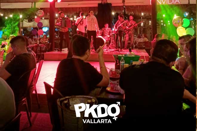 PKDO Puerto Vallarta Logo in Puerto Vallarta, Jalisco