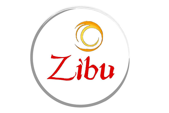 Zibbu Logo in Acapulco, Guerrero